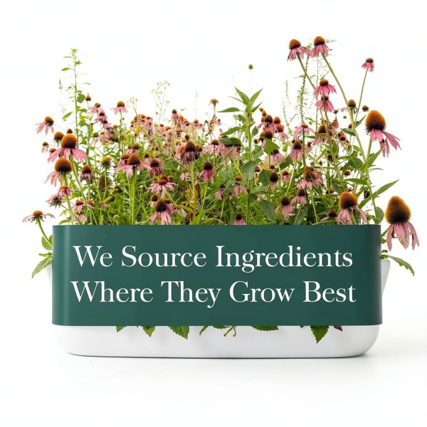 Gaia Herbs Elderberry Capsules Immune Support Organic Vegan-8