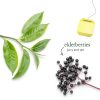 Bigelow Green Tea Elderberry Vitamin C Antioxidant Tea Bags-6
