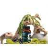 Gaia Herbs Elderberry Capsules Immune Support Organic Vegan-1