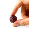 Nature’s Truth Elderberry Gummies Vegan Wellness Support-4
